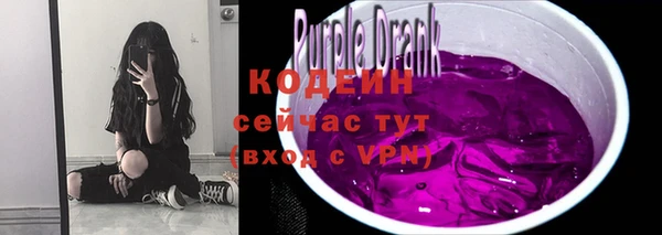 МДПВ Семёнов