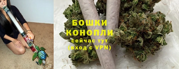 ПСИЛОЦИБИНОВЫЕ ГРИБЫ Саяногорск