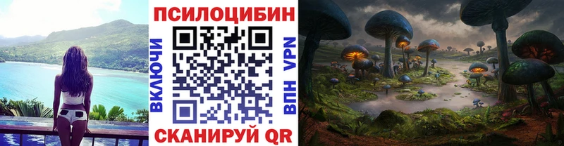shop Telegram  Смоленск  Галлюциногенные грибы Psilocybine cubensis  цены  